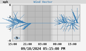 Wind Vector